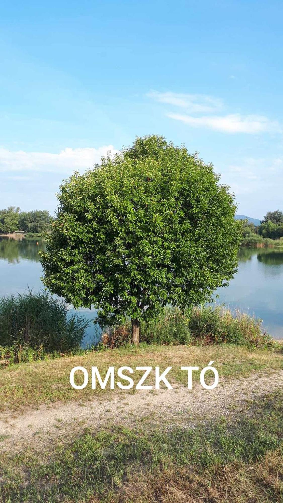 Zen Apartman Budakalasz Luaran gambar